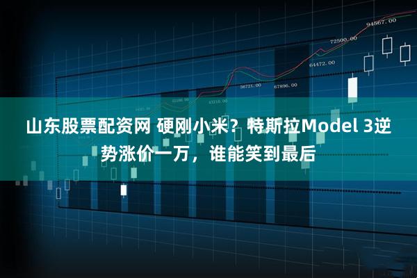 山东股票配资网 硬刚小米？特斯拉Model 3逆势涨价一万，谁能笑到最后