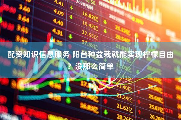 配资知识信息服务 阳台种盆栽就能实现柠檬自由？没那么简单