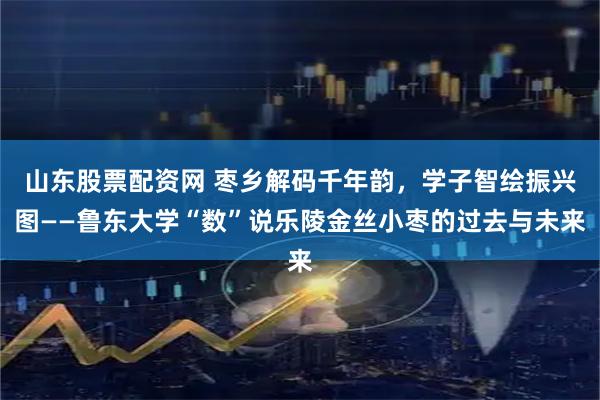 山东股票配资网 枣乡解码千年韵，学子智绘振兴图——鲁东大学“数”说乐陵金丝小枣的过去与未来