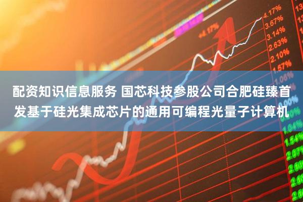 配资知识信息服务 国芯科技参股公司合肥硅臻首发基于硅光集成芯片的通用可编程光量子计算机