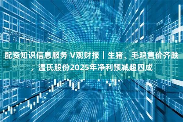 配资知识信息服务 V观财报｜生猪、毛鸡售价齐跌，温氏股份2025年净利预减超四成